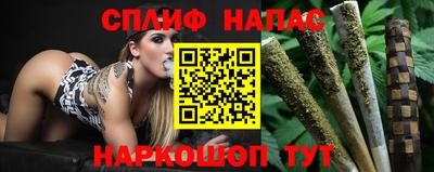 стаф Будённовск