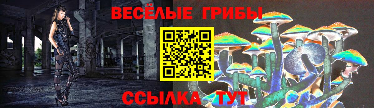 Псилоцибиновые грибы GOLDEN TEACHER  Вход с VPN  Сухой Лог  Галлюциногенные грибы Psilocybe 